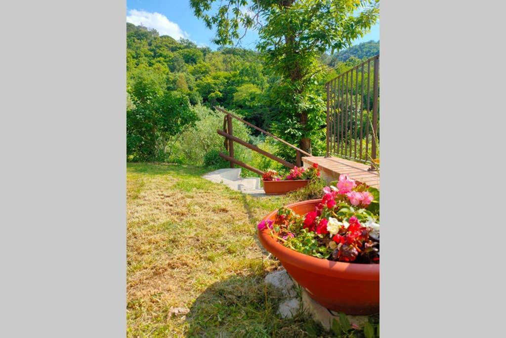 Villa Con Piscina 10 Posti Letto, L'Oliveta Di Rivalto Chianni Exterior photo